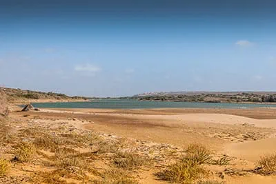 shutterstock_221984509