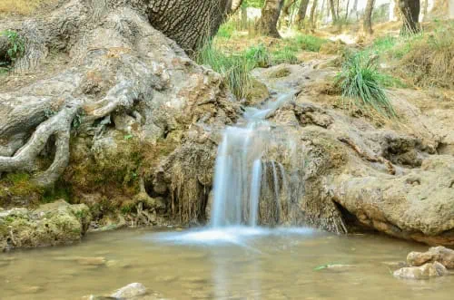 shutterstock_1485257024